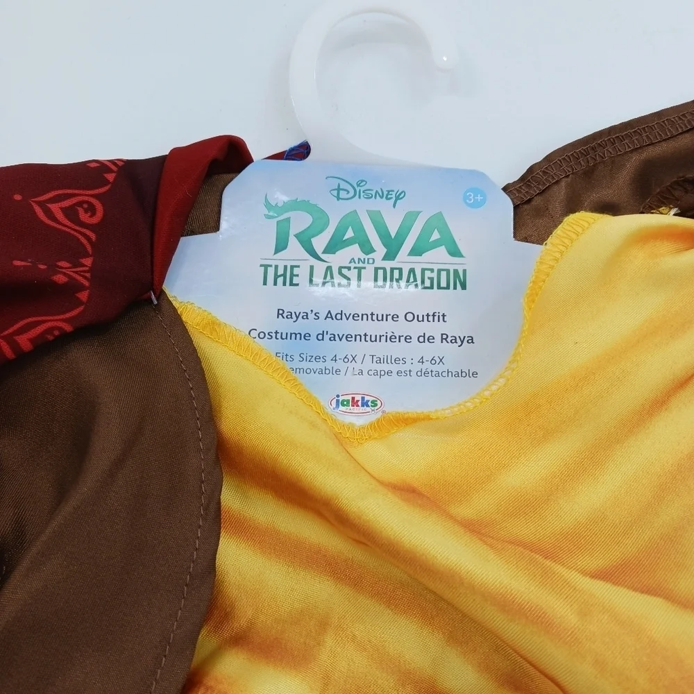 Disney Raya and the Last Dragon Costume Girls 4-6X Dress Up Outfit Halloween